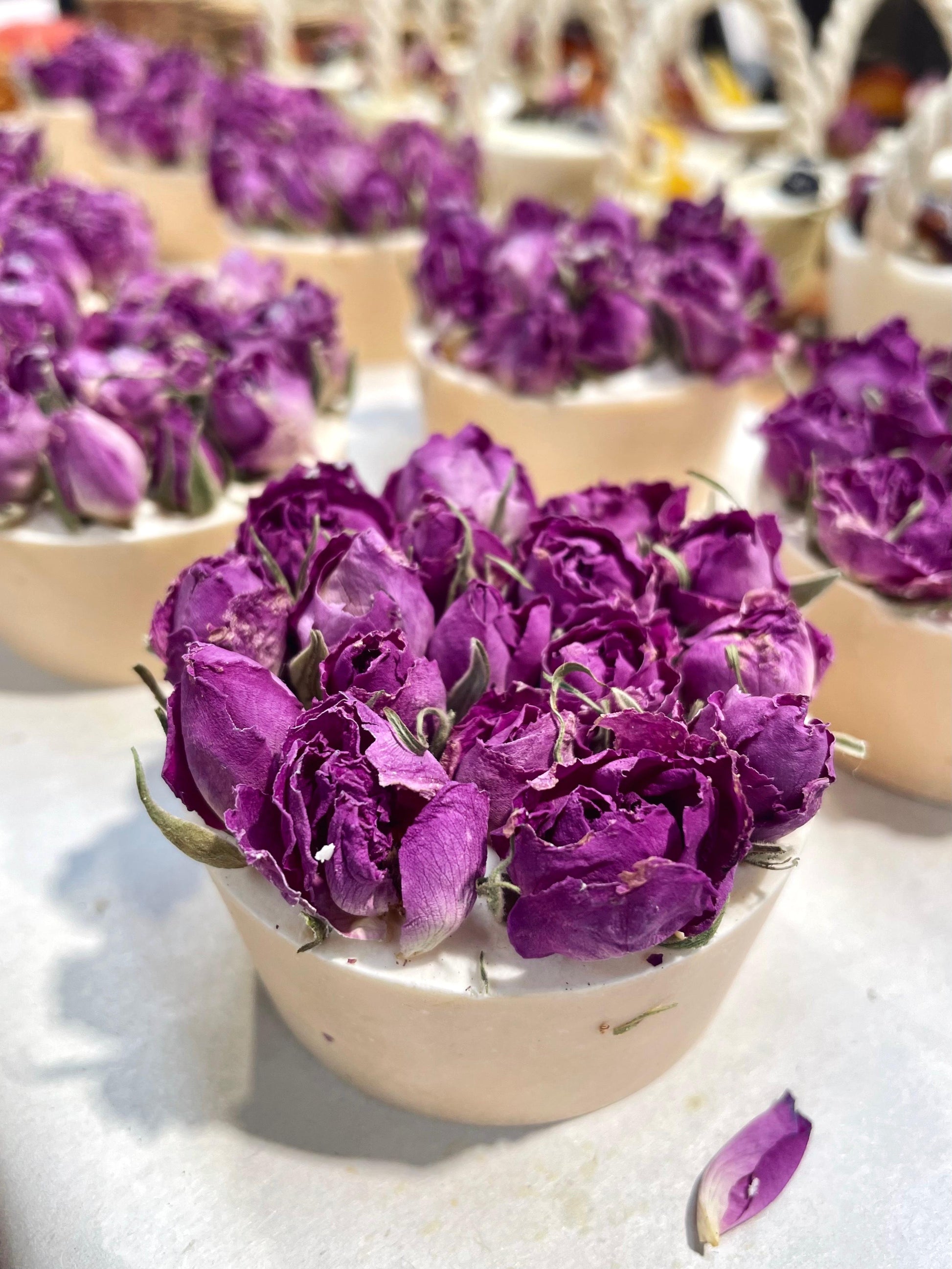GERANIUM