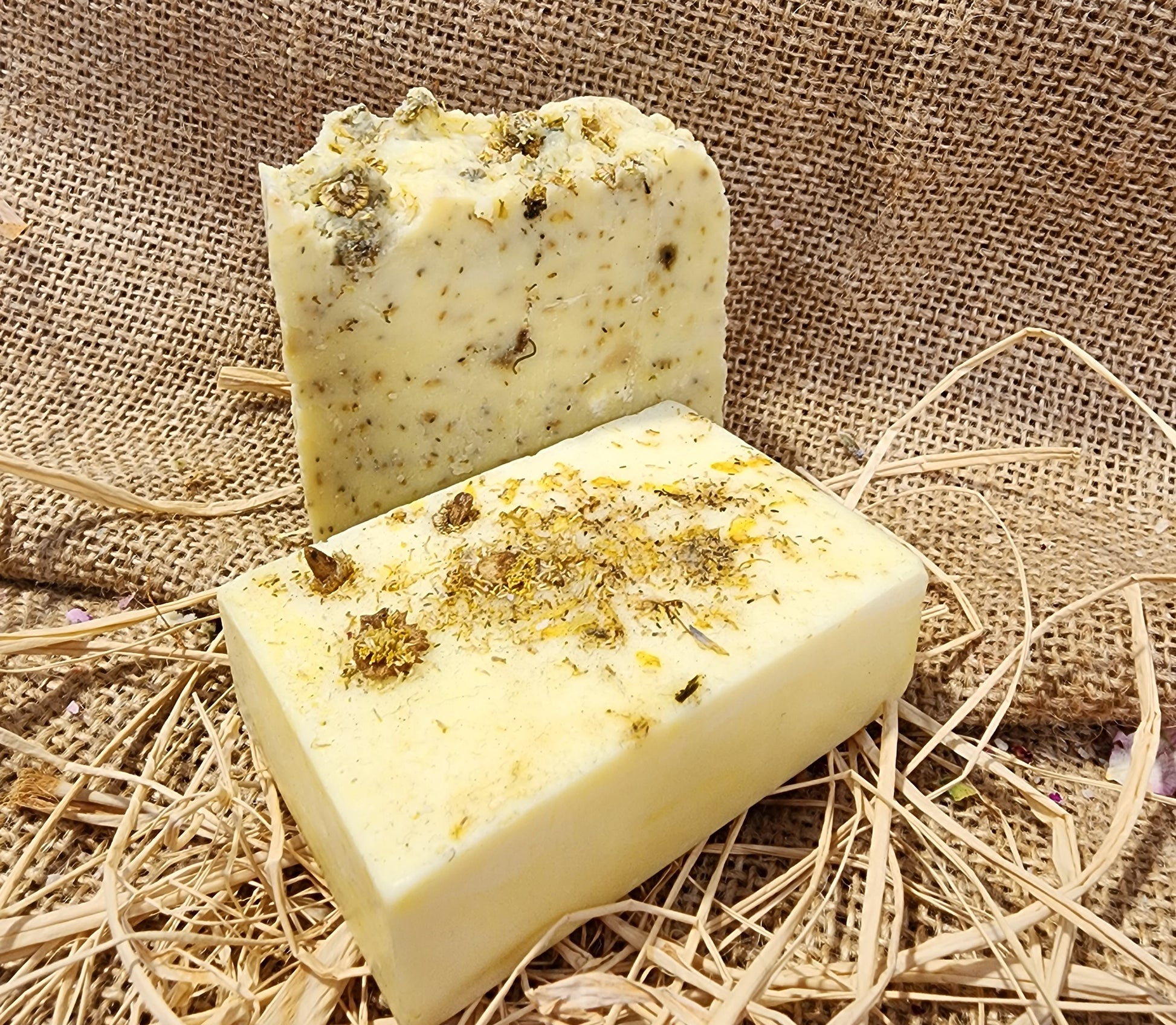 CAMOMILE
